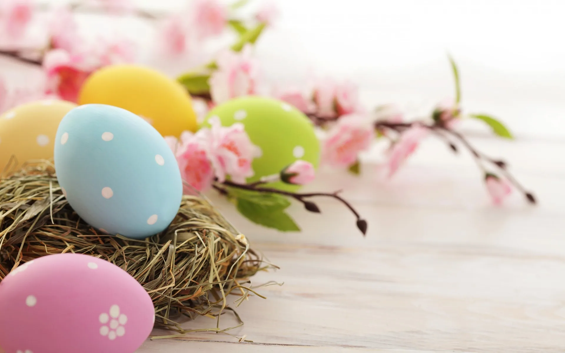 Uova di Pasqua colorate con fiori, 2560x1600 WQXGA, PC