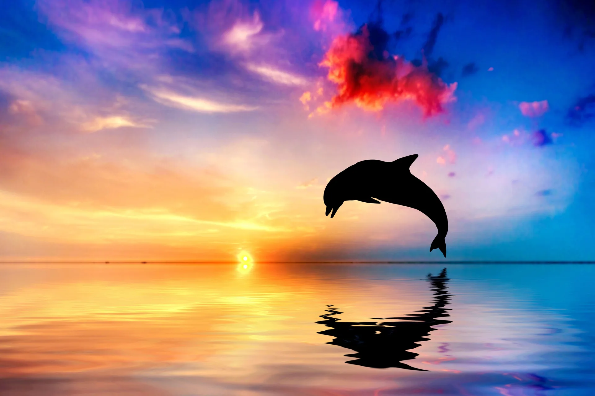 Delfino che salta al tramonto, 6000x4000 4K Ultra HD, Monitor 4K