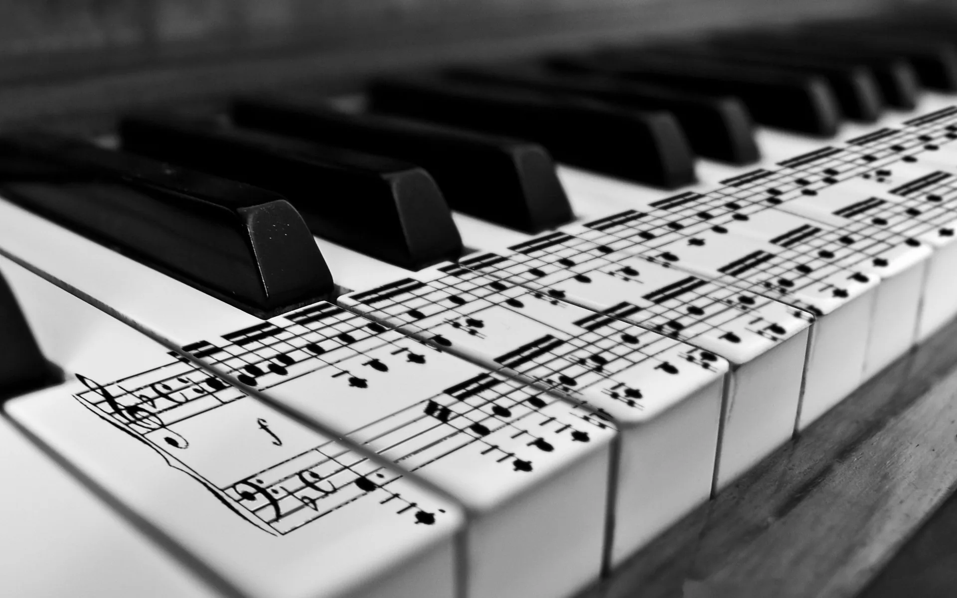 Tasti piano con spartito musicale, 2560x1600 2K+, Desktop