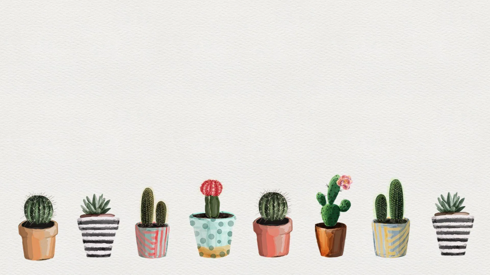 Cactus e piante grasse in vaso, 1920x1080 Full HD, Desktop