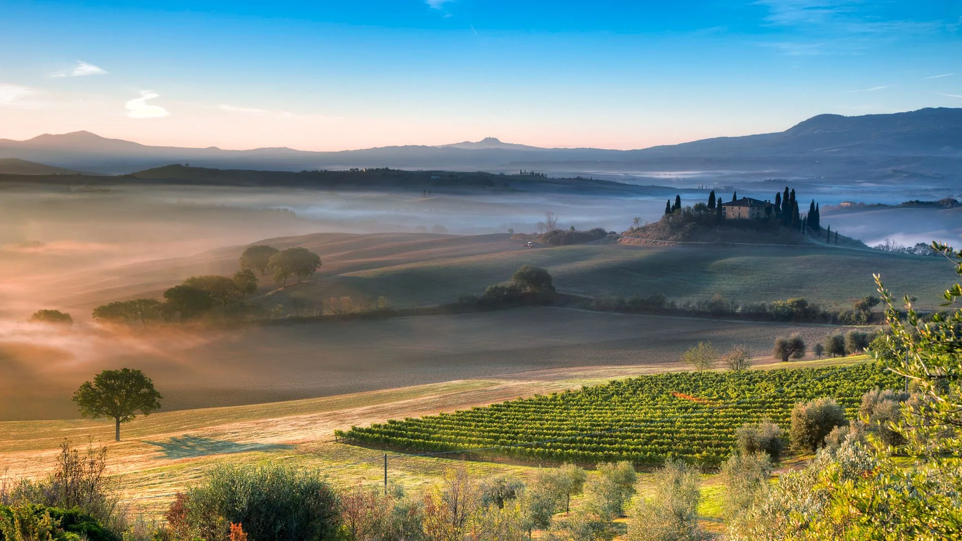 Paesaggio collinare toscano nebbioso, 1920x1080 1080p, PC Desktop