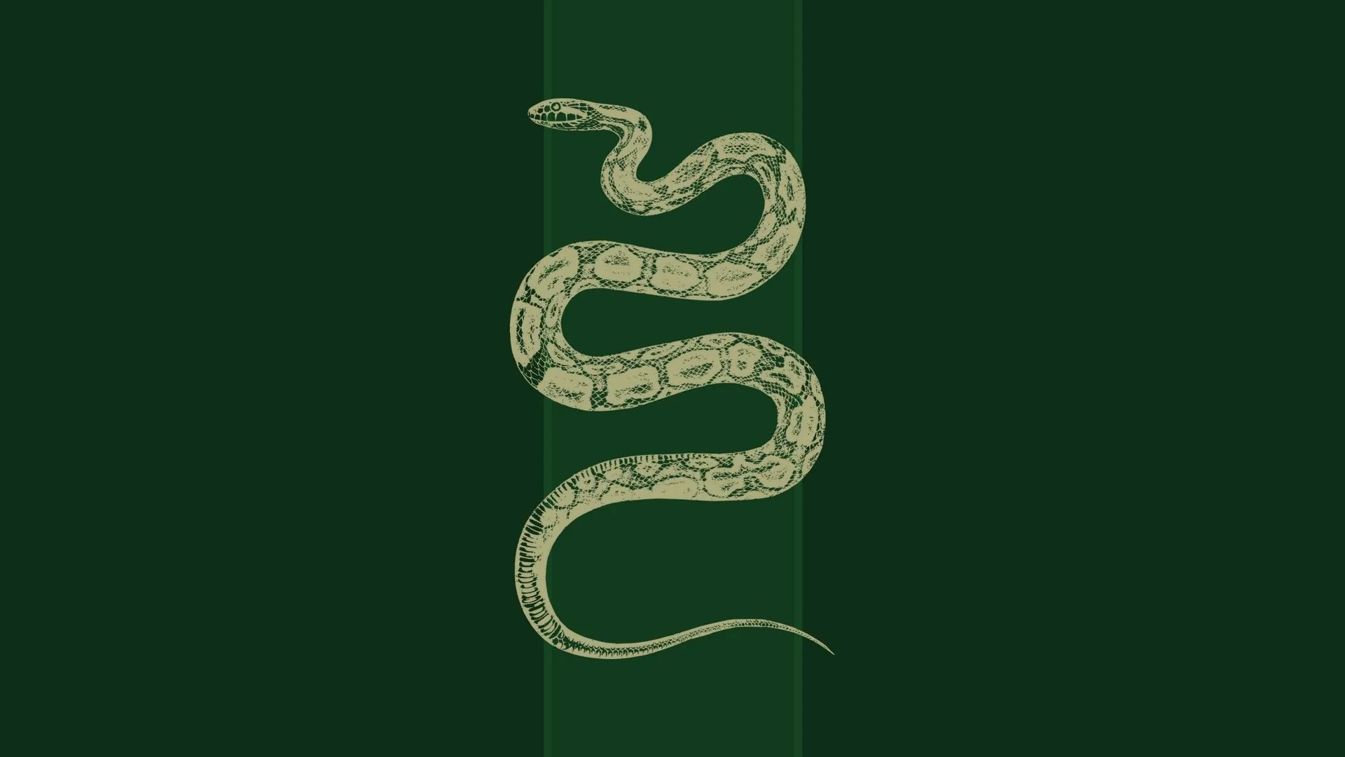Serpente Serpeverde Harry Potter, mondo magico, 1920x1080 Full HD, Desktop