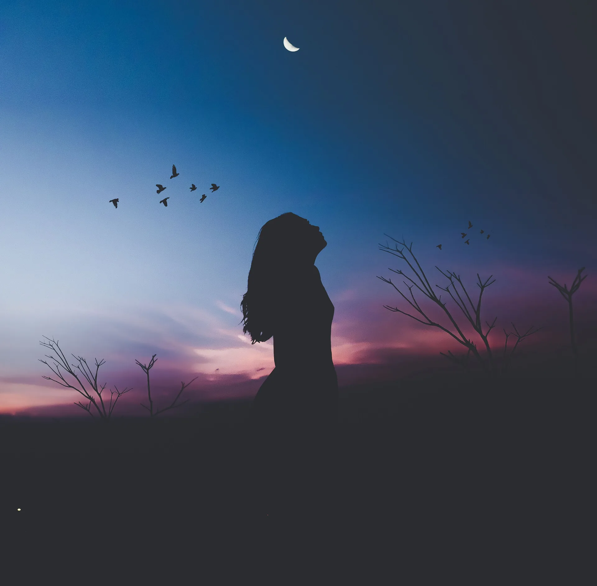 Silhouette donna al crepuscolo, 3456x3392 2K+, PC