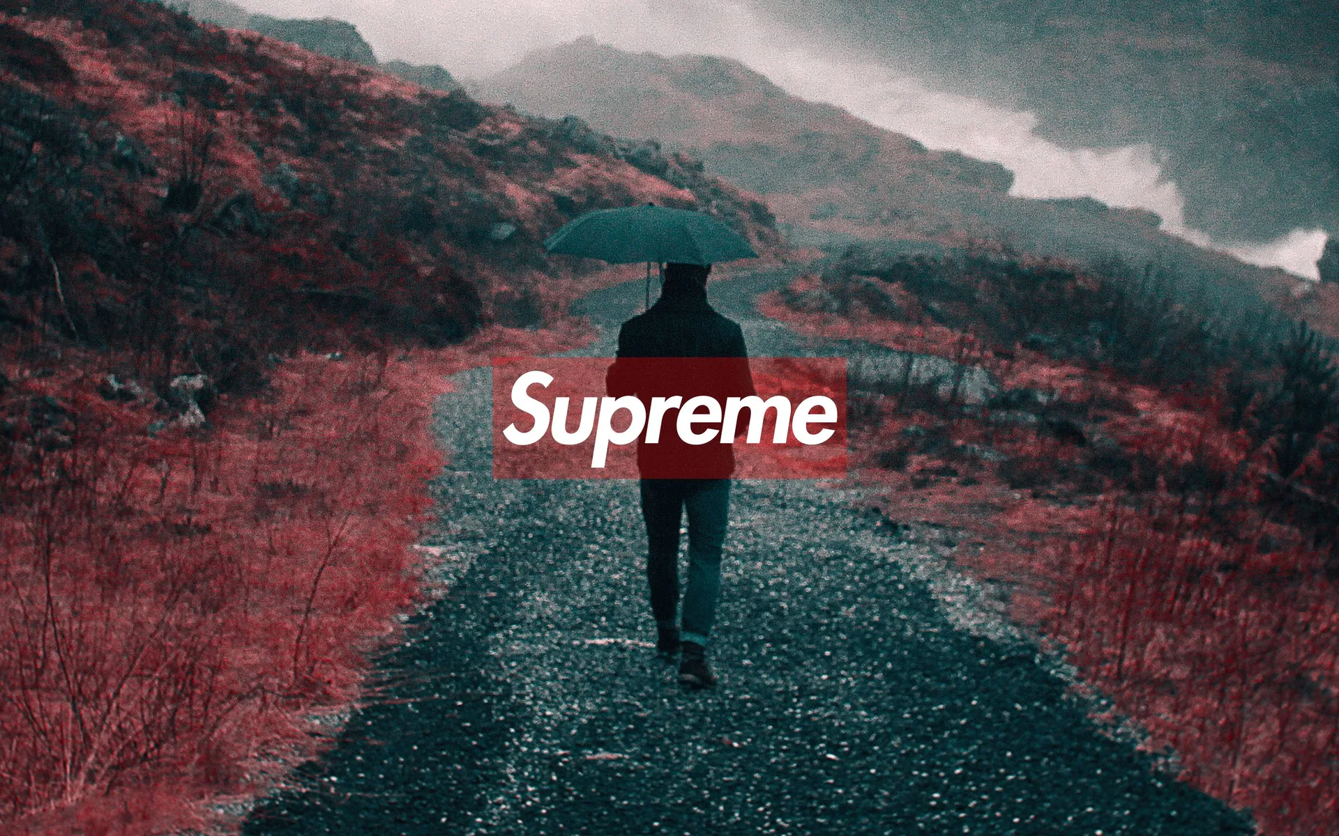 Logo Supreme, uomo con ombrello, streetwear, 2880x1800 WQXGA, PC Desktop