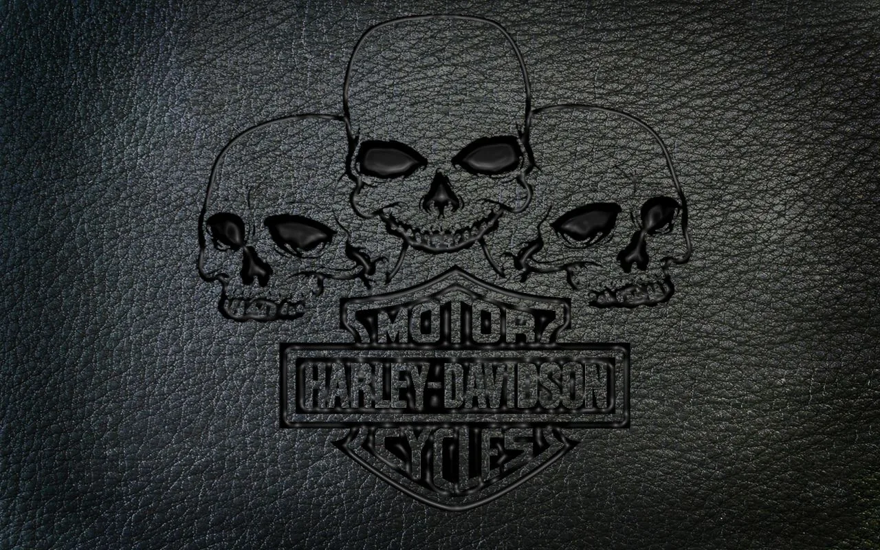 Teschi logo Harley-Davidson cuoio, 1280x800 HD, Desktop