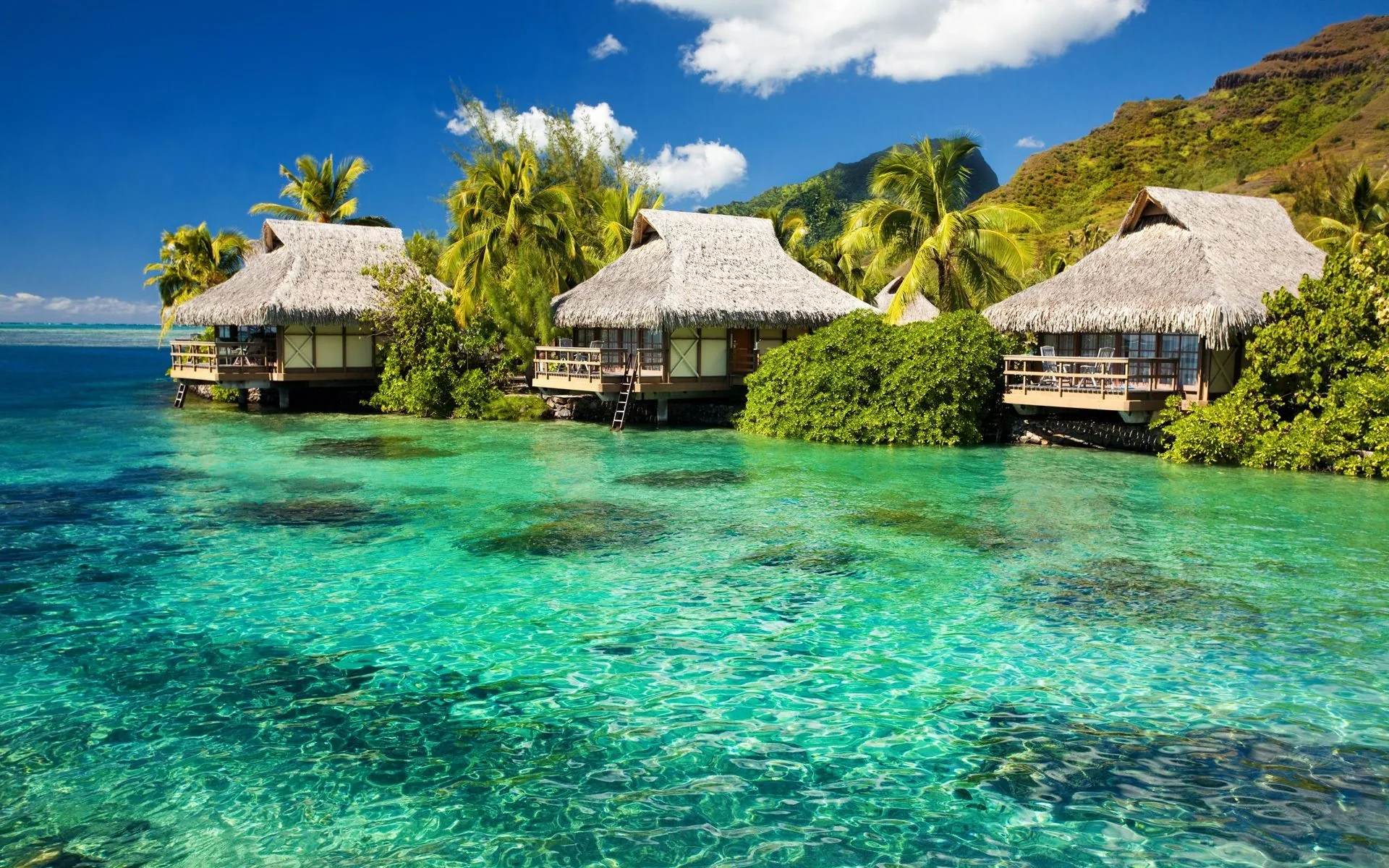 Bungalow overwater laguna tropicale, 1920x1200 Full HD+ WUXGA, Laptop