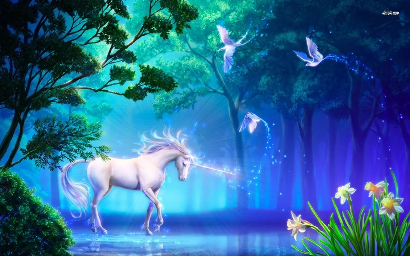 Unicorno bianco foresta magica, 1680x1050 900p, Desktop
