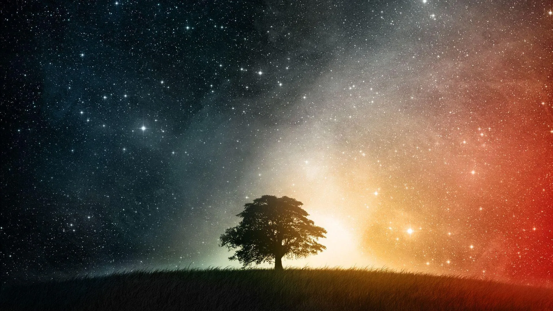 albero solitario sotto galassia, 1920x1080 1080p, PC Desktop