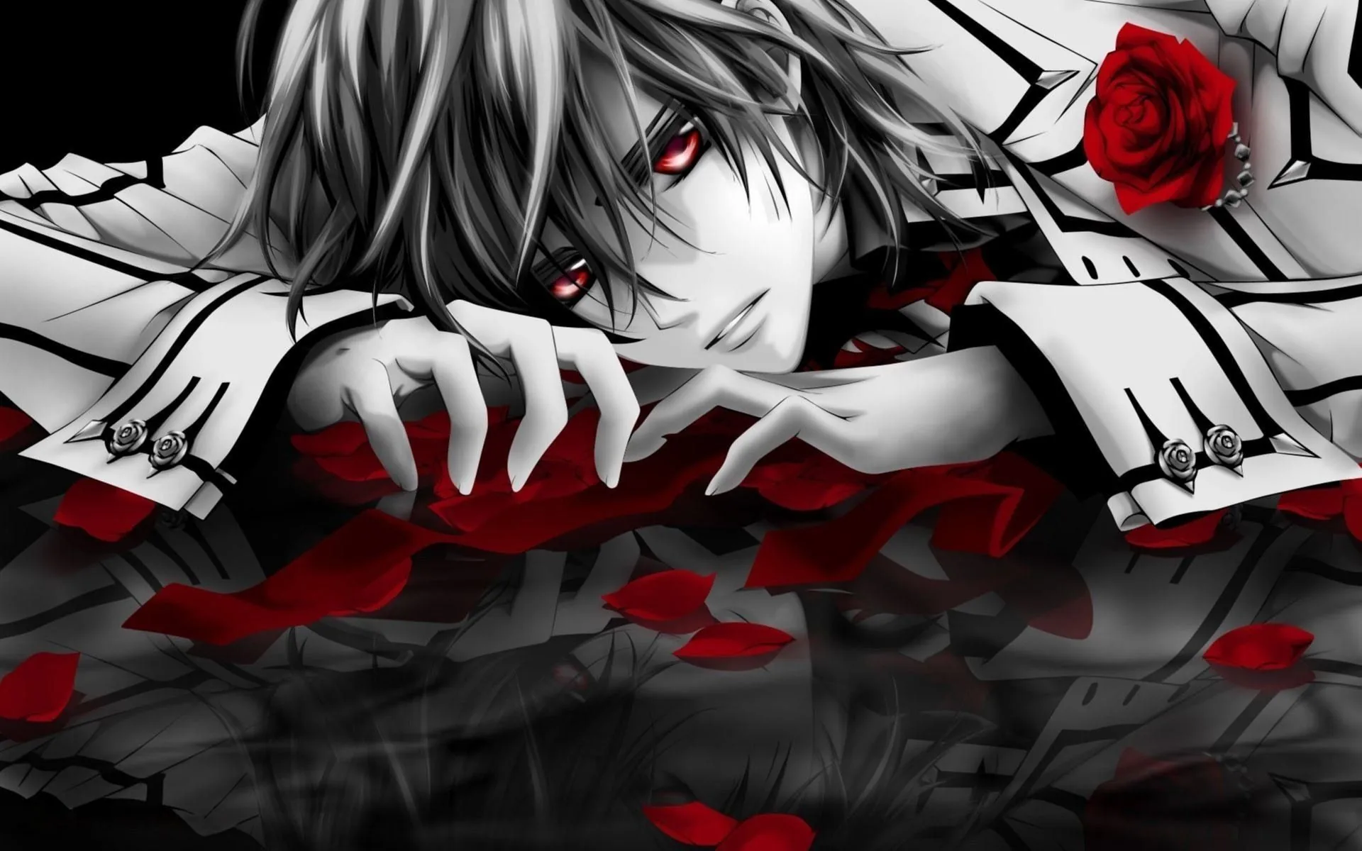 Vampire Knight, rosa rossa, sangue, 1920x1200 WUXGA, PC Desktop