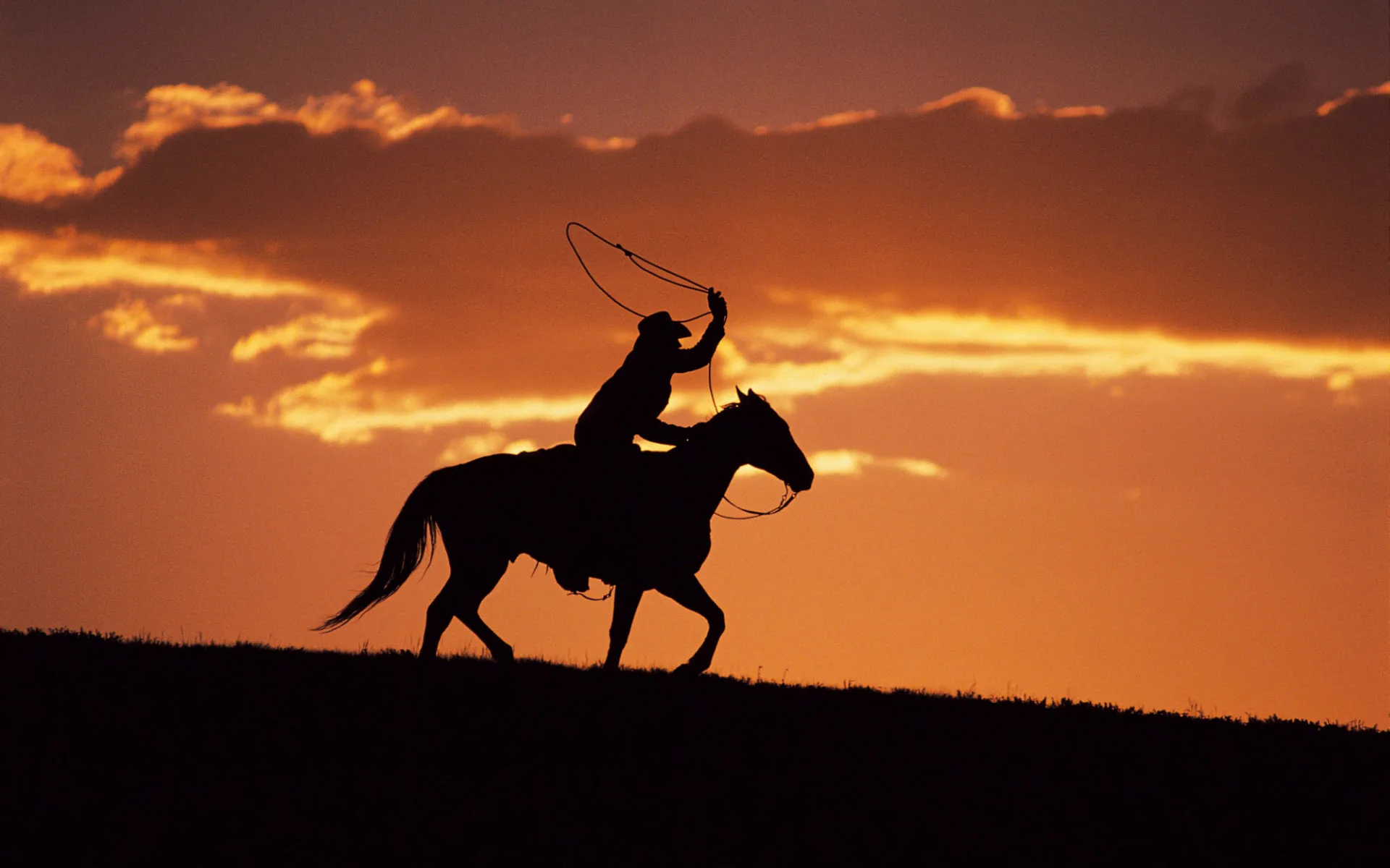 Cowboy a cavallo tramonto, 1920x1200 WUXGA, PC Desktop