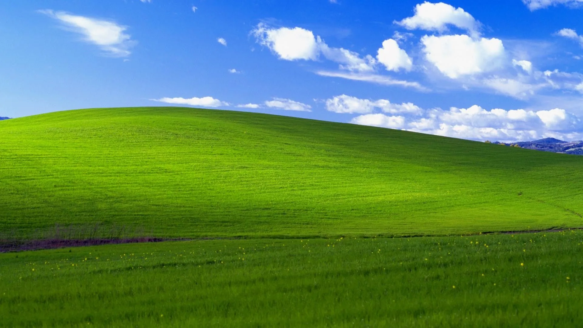 Logo Windows 7 blu, sistema operativo Microsoft, 1920x1200 Full HD+ WUXGA, Desktop