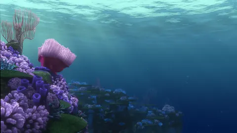 Alla ricerca di Dory