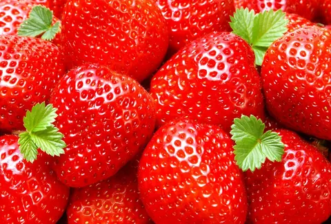 Frutta