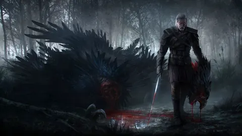 The Witcher