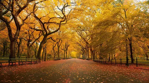 Autunno