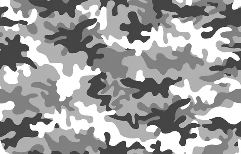 BAPE bianchi