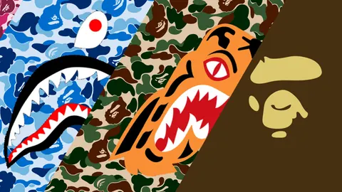 BAPE con tigri