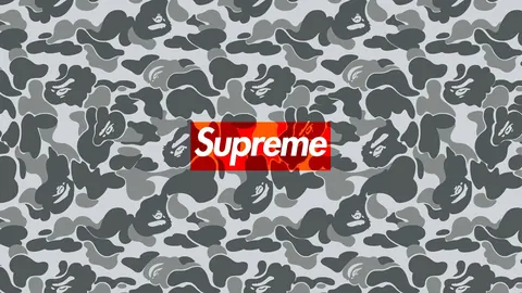 Supreme camo