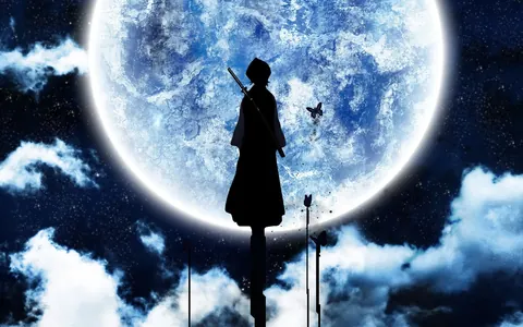 Bleach anime