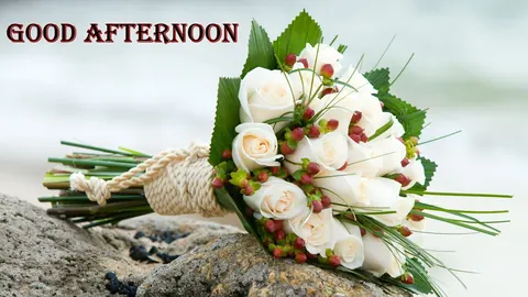 Buon pomeriggio