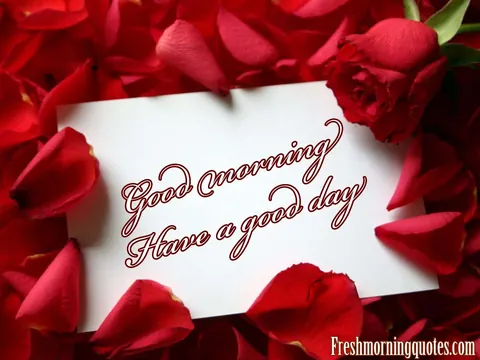 Buongiorno con rosa rossa