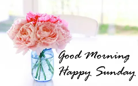 Buona domenica