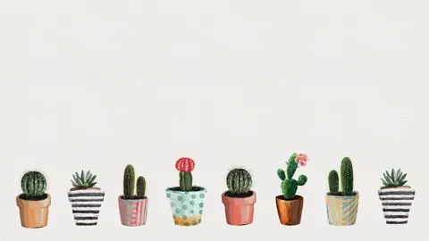 Piante grasse aesthetic