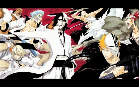 Capitani di Bleach