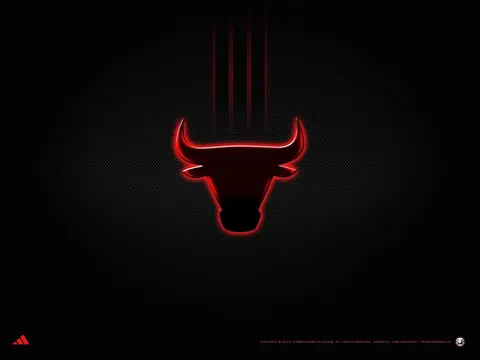 Chicago Bulls
