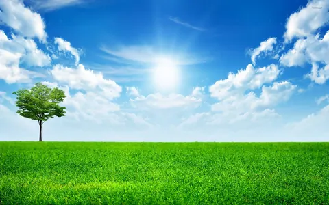 Natura e cielo blu
