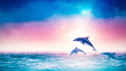 Delfini