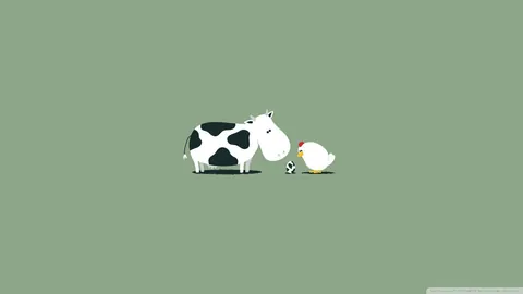 Divertenti