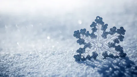Fiocchi di neve