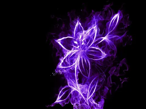 Fiori al neon
