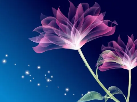 Fiori colorati