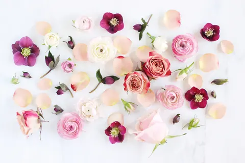 Fiori aesthetic