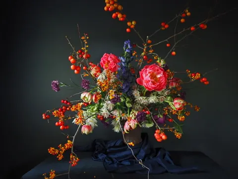 Fiori appassiti