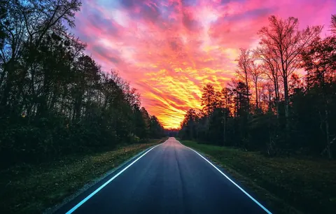 Foreste al tramonto
