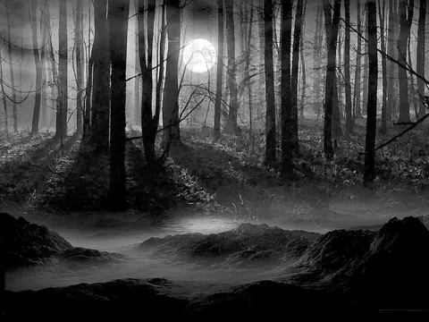 Foresta oscura anime
