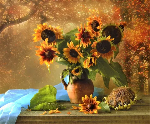 Girasoli d'autunno