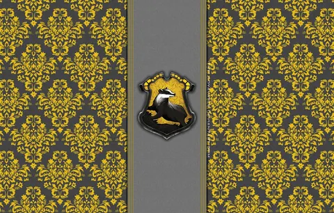 Fantasie di Harry Potter