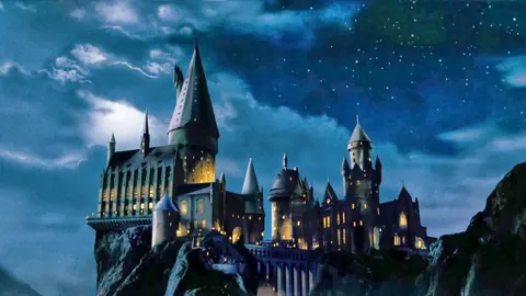 Fondatori di Hogwarts