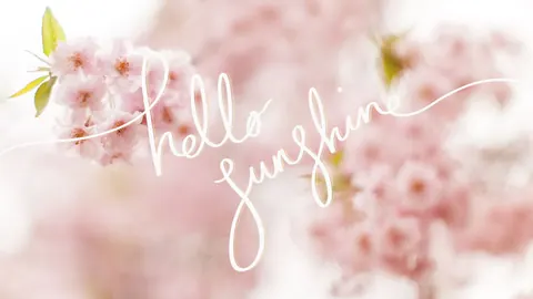 Hello Sunshine