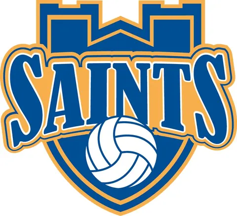 Logo della pallavolo