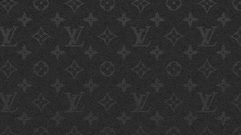 Louis Vuitton bianco e nero