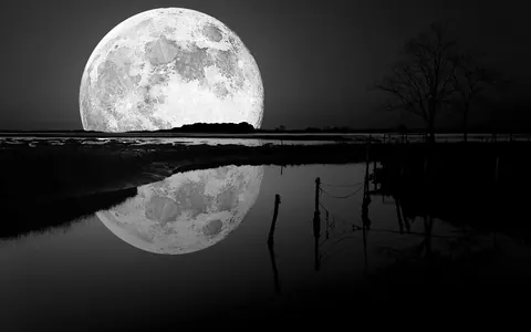 Luna nera