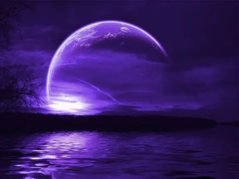 Luna viola
