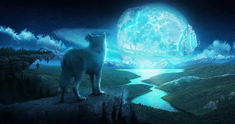 Lupi magici