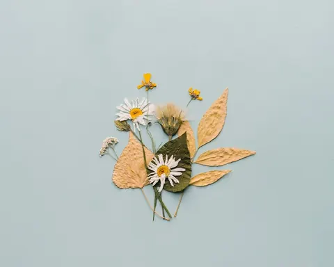 Margherite aesthetic
