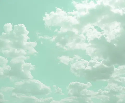 Menta aesthetic